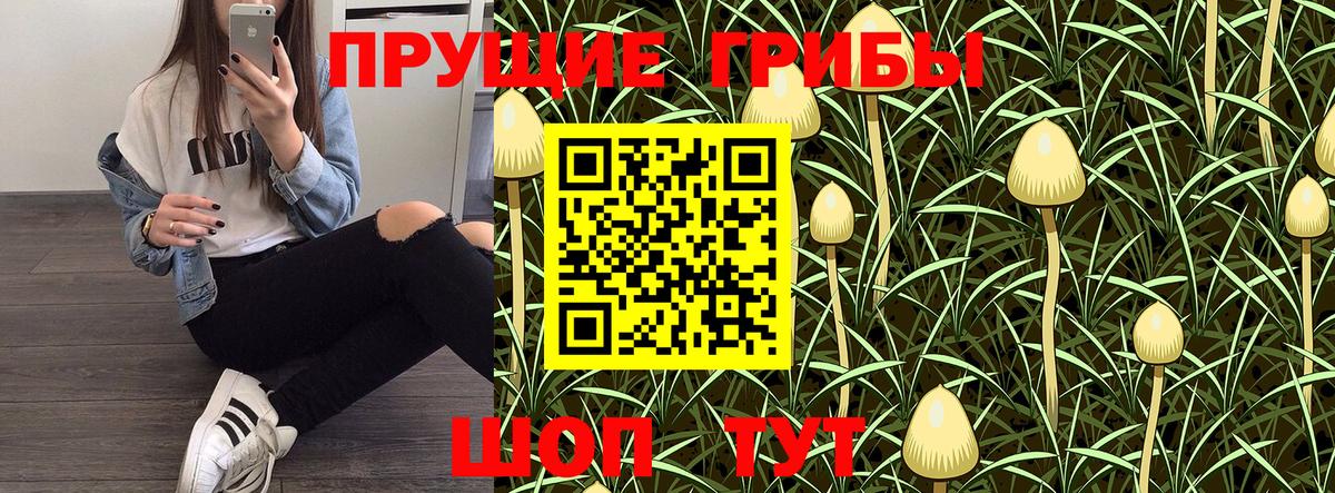 Маркс  Псилоцибиновые грибы мицелий  Вход с VPN 